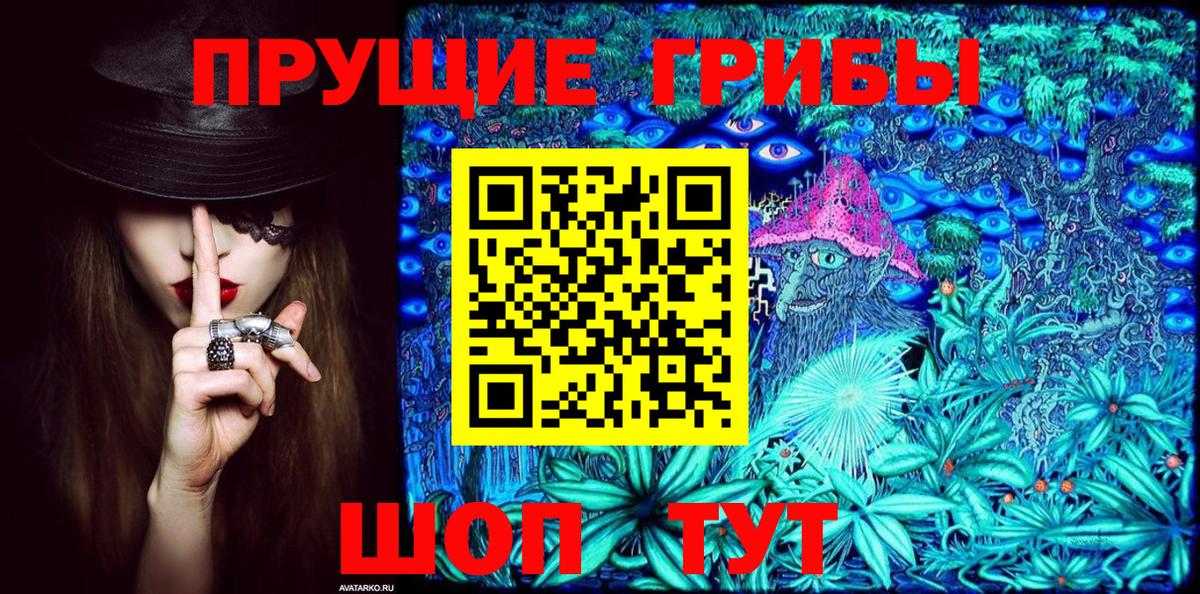 Дмитров  Галлюциногенные грибы GOLDEN TEACHER  Вход с VPN  Псилоцибиновые грибы Psilocybe 