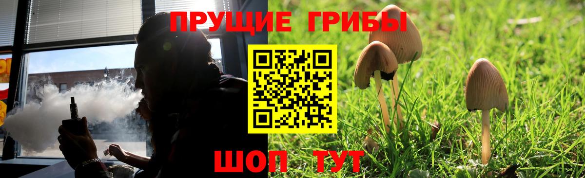 Галлюциногенные грибы Cubensis Дмитров
